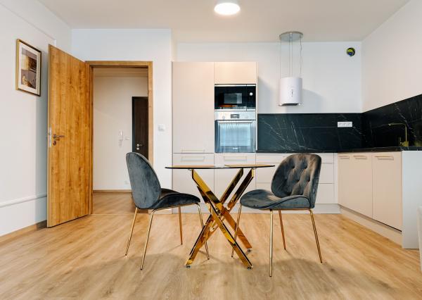 Butikový 2 izbový apartmán s loggiou v novostavbe z r.2023 Jégeho Alej
