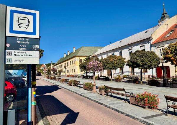 Predaj 5i RD s vinnou pivnicou v centre na námestí, Svätý Jur, Prostredná ul., 377 m2