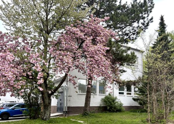 Prenájom samostatného administratívno-skladového objektu so skladom, Odborárska ul., BA III., 166 m2