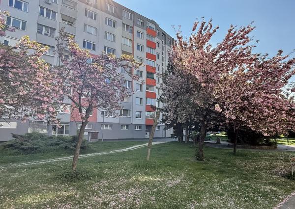 Veľký 4i byt s výbornou polohou a občianskou vybavenosťou, BA V., Ľubovnianska ul., 93 m2