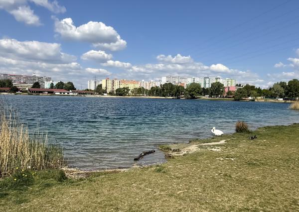 Veľký 4i byt s výbornou polohou a občianskou vybavenosťou, BA V., Ľubovnianska ul., 93 m2