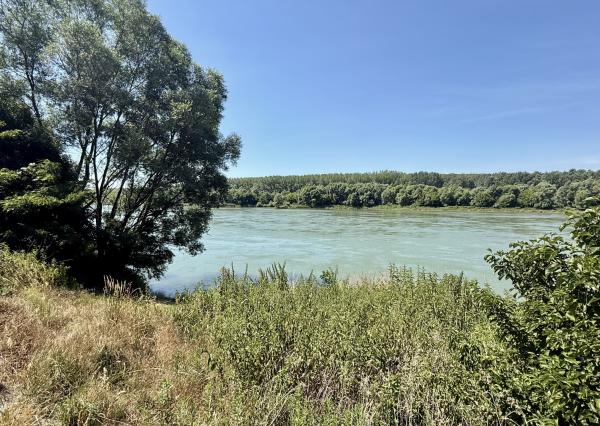 Celoročne obývateľná , moderne zariadená 4i rekreačná chata pri lese , NOVOSTAVBA, Gabčíkovo- Prístav,