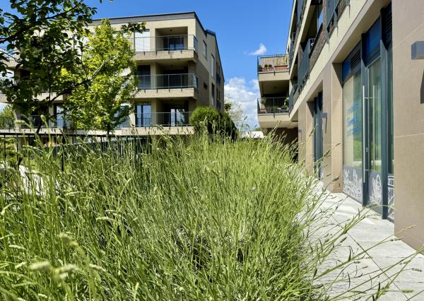 Novostavba 4i bytu s TERASOU v NADŠTANDARDNOM nízko podlažnom projekte Sady Jarovce, BA V., 130,52 m2