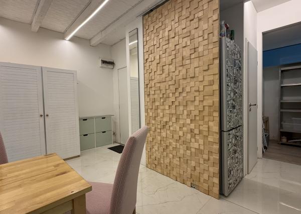 Tichý 1,5i byt v úplnom centre mesta, REKONŠTRUKCIA , BA I., Karadžičova ul., 46 m2