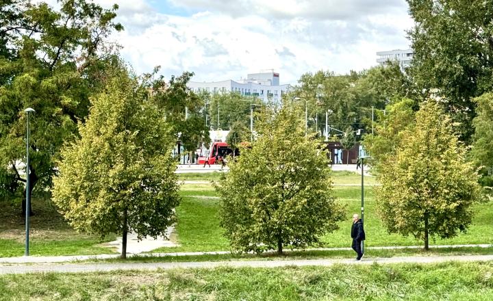 PRÍJEMNÝ 3 izbový byt, TOP lokalita na začiatku Petržalky , Mlynarovičova ul., 76,20 m2 - fotografia 21