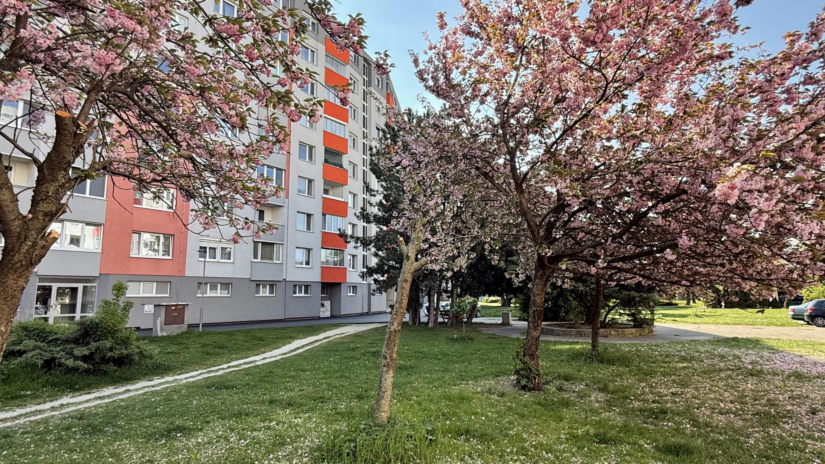 Veľký 4i byt s výbornou polohou a občianskou vybavenosťou, BA V., Ľubovnianska ul., 93 m2